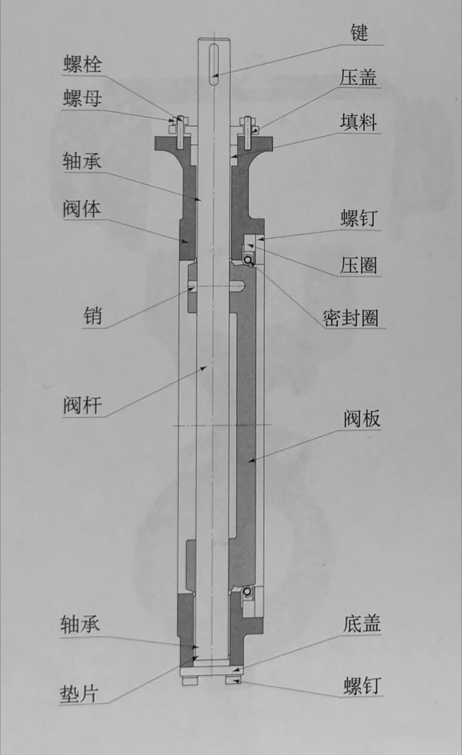 電動雙偏心密封蝶閥閥體結構.jpg